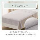 ふわふわタオルケット シングル(グレー D1) 2枚目画像