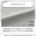 ひんやりケットにもなる掛け布団カバー シングル(Nクール D2603 デコネコ) 5枚目画像