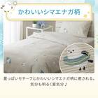 ひんやりケットにもなる掛け布団カバー シングル(Nクール極冷 D2612 シマエナガ) 3枚目画像