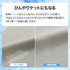 ひんやりケットにもなる 掛け布団カバー シングル(Nクール ポーラーベア PB 26NC-02 S) 3枚目画像