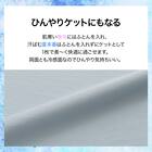 ひんやりケットにもなる 両面冷感 掛け布団カバー シングル(Nクール DSC 26NC-12 S) 3枚目画像