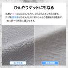 ひんやりケットにもなる 掛け布団カバー ダブル(Nクール極冷 グレー26-04 D) 3枚目画像