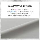 ひんやりケットにもなる 両面冷感 掛け布団カバー シングル(Nクール極冷 DSCF 26NC13 S) 3枚目画像