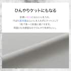 ひんやりケットにもなる 両面冷感 掛け布団カバー シングル(Nクール極冷 DSCF 26NC13 S) 3枚目画像