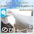 ぴったりフィット マルチすっぽりシーツ スモールシングルｰシングル(Nクール ボーダー Nフィット BD 26NC-03 SS-S) 2枚目画像