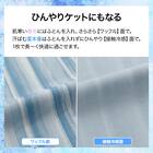 ひんやりケットにもなる 掛け布団カバー シングル(Nクール ボーダー BD 26NC-03 S) 3枚目画像