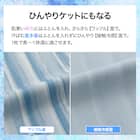 ひんやりケットにもなる 掛け布団カバー シングル(Nクール ボーダー BD 26NC-03 S) 3枚目画像