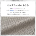 ひんやりケットにもなる 両面冷感 掛け布団カバー シングル(Nクール極冷 DSCU 2614 S) 3枚目画像