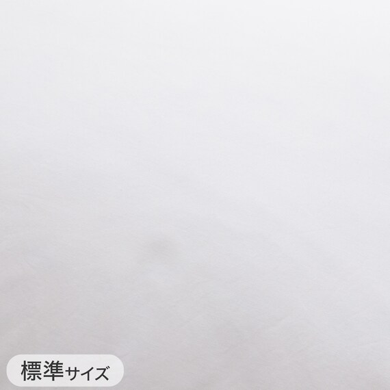 フェザー&ダウンまくら(2個セット P2512) 16枚目画像