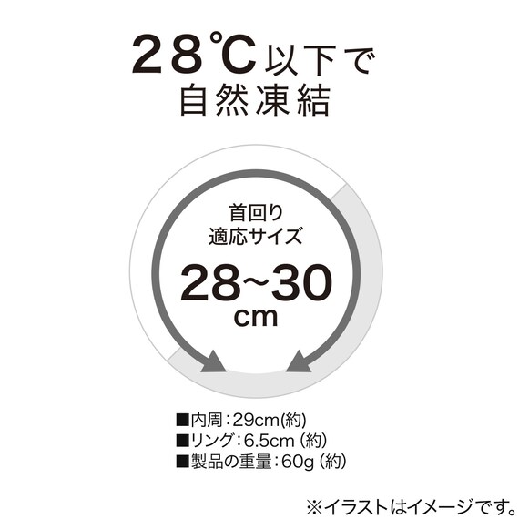 首冷却リング 軽量タイプ(ホワイト/クリア S) 2枚目画像