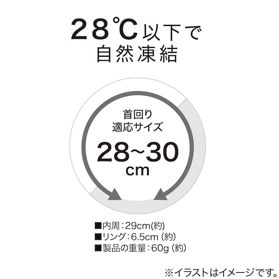 首冷却リング 軽量タイプ(ホワイト/クリア S) 2枚目画像