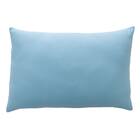 まるごと洗える 冷感もちもちリバーシブルまくら(Nクール ブルー P2521) 5枚目画像