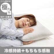 まるごと洗える冷感もちもちまくら(Nクール極冷 P2523)