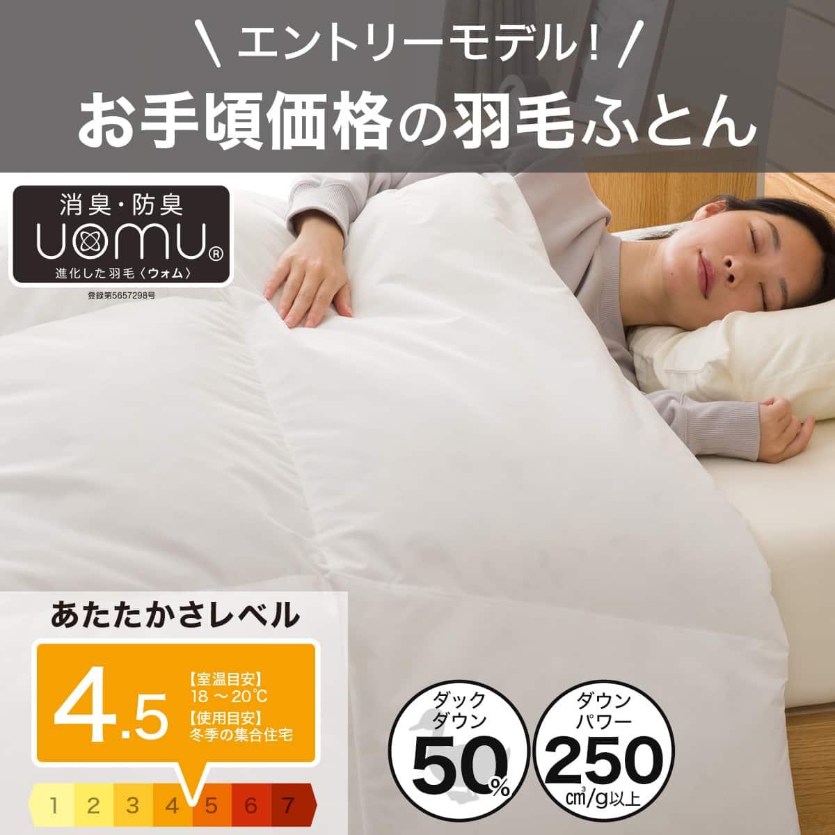 羽毛布団 シングル(S-1 K2612 S) | ニトリネット【公式】 家具