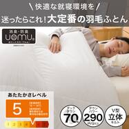 羽毛布団 スタンダード(UL K2614)
