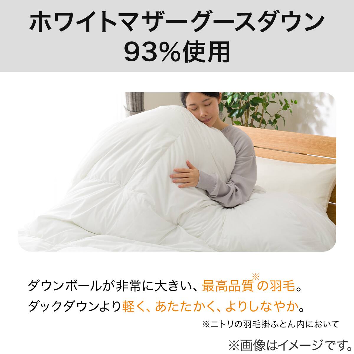 羽毛布団 ラグジュアリー ホワイトマザーグースダウン93％ 完全2層式V