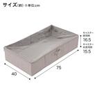 キャスター付き ベッド下収納(EB2G) 2枚目画像