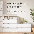 収納ケース ハーフ(N-FL ホワイト) 3枚目画像