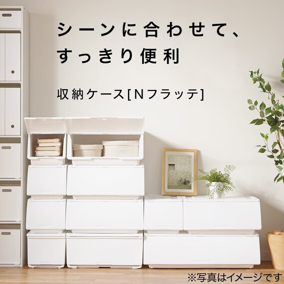 収納ケース ハーフ(N-FL ホワイト) 3枚目画像