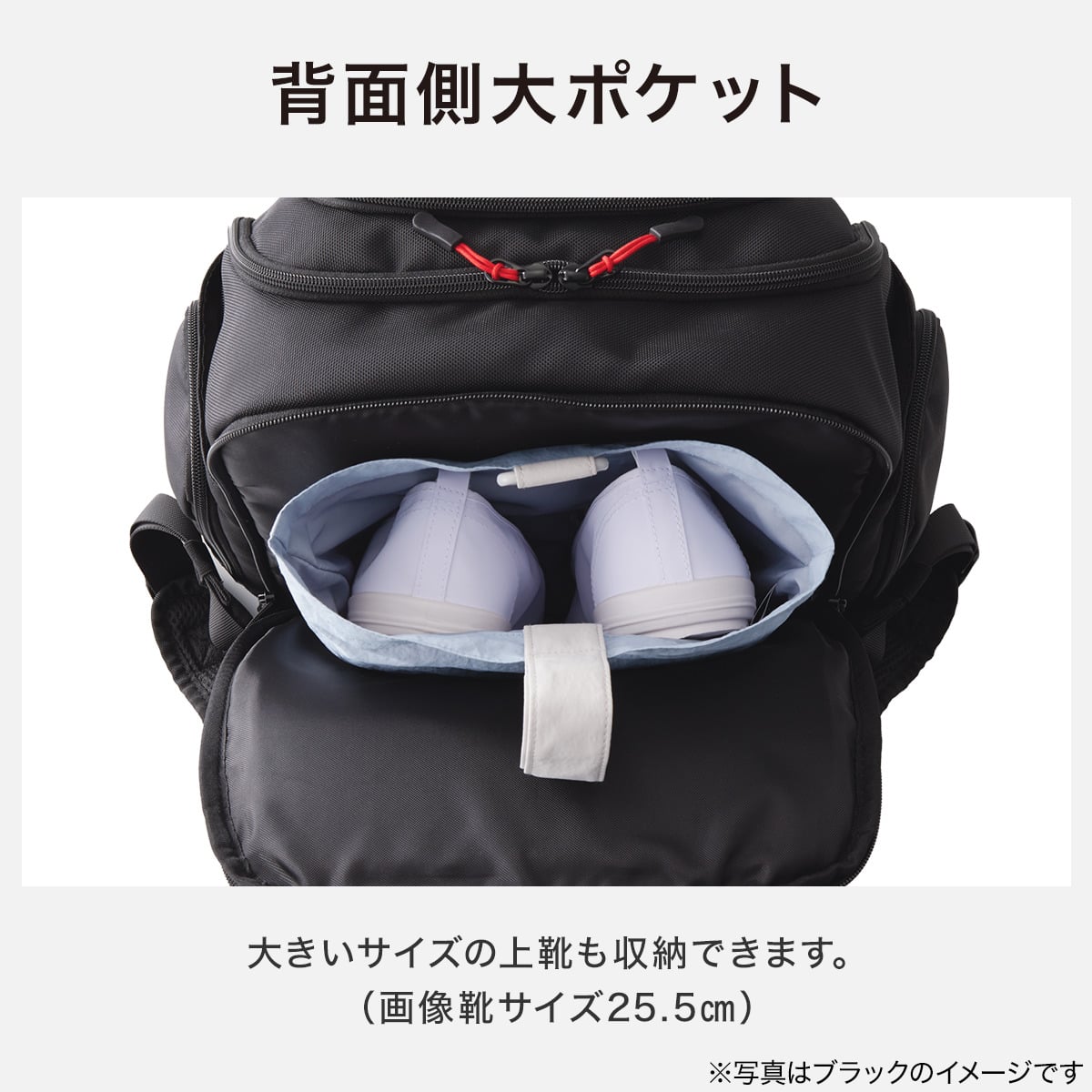 かぶせがとれる軽量ランドセル(パープル) | ニトリネット【公式】 家具