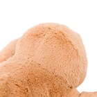 ぬいぐるみ ナマケモノ S(ST01 c-g) 8枚目画像