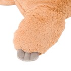 ぬいぐるみ ナマケモノ S(ST01 c-g) 10枚目画像