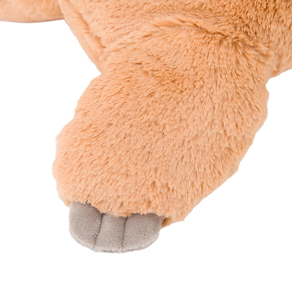 ぬいぐるみ ナマケモノ S(ST01 c-g) 10枚目画像