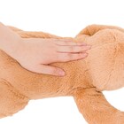 ぬいぐるみ ナマケモノ S(ST01 c-g) 11枚目画像