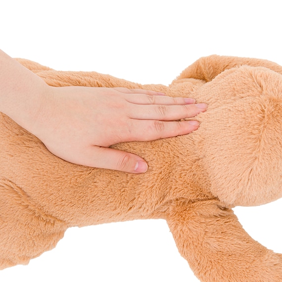 ぬいぐるみ ナマケモノ S(ST01 c-g) 11枚目画像