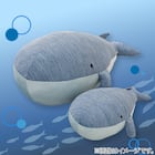 Nクール ぬいぐるみ シロナガスクジラL(KG25) 13枚目画像