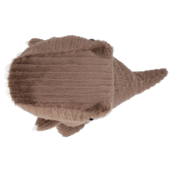 ぬいぐるみ ティラノサウルス(CF01) 5枚目画像