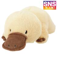 ぬいぐるみ カモノハシ S(BI25)