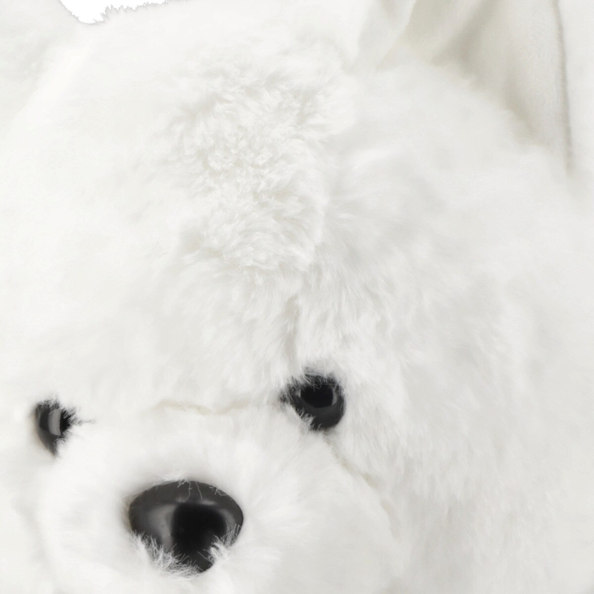 211610000765335.jpg?ts=