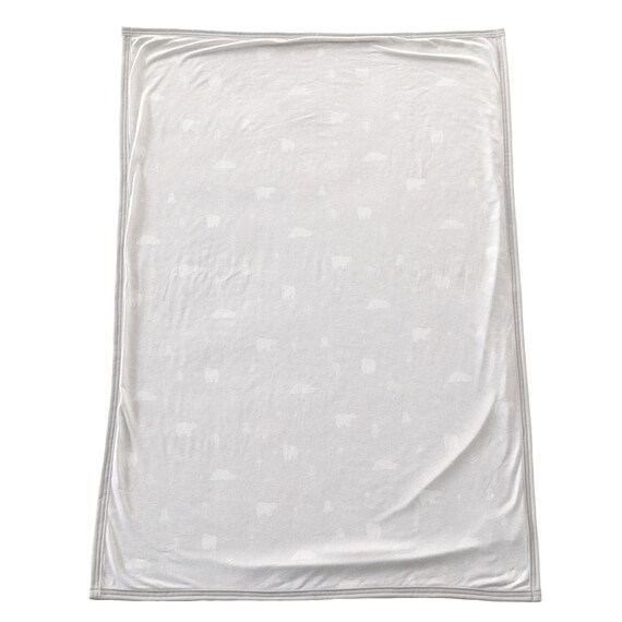 Nクール極冷 ベビータオルケット(GY SK26) 8枚目画像