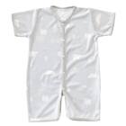 Nクール極冷 プレオール(SK26) 5枚目画像