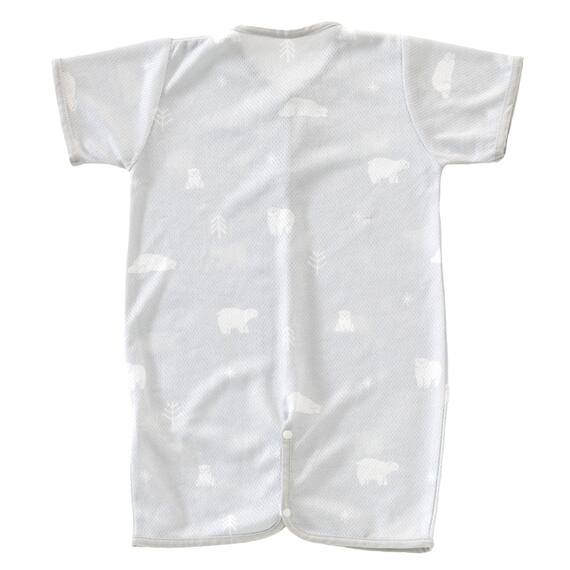 Nクール極冷 プレオール(SK26) 6枚目画像