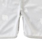 Nクール極冷 プレオール(SK26) 8枚目画像