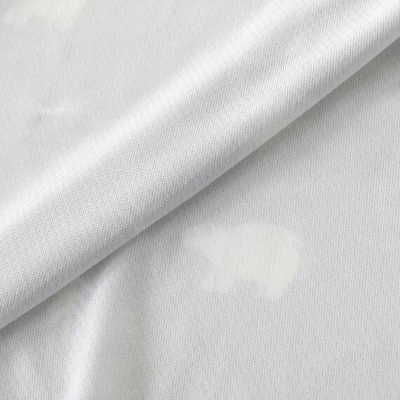 Nクール極冷 プレオール(SK26) 10枚目画像