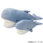Nクール ぬいぐるみ クジラ S(BK26) 7枚目画像