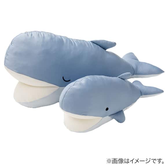 Nクール ぬいぐるみ クジラ S(BK26) 7枚目画像