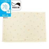 スモールケット(Nクール IC2601)