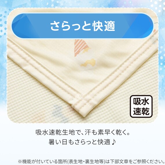 スモールケット(Nクール IC2601) 5枚目画像