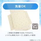 スモールケット(Nクール IC2601) 6枚目画像