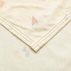 スモールケット(Nクール IC2601) 5枚目画像