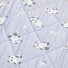 お昼寝マット(Nクール極冷 PN2602) 2枚目画像