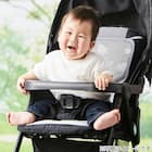 ベビーカーシート(Nクール極冷 DN2603) 2枚目画像