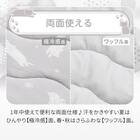 敷きパッド(Nクール極冷 DN2603) 4枚目画像