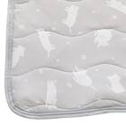 敷きパッド(Nクール極冷 DN2603) 2枚目画像