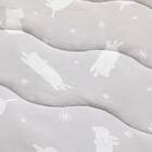 敷きパッド(Nクール極冷 DN2603) 4枚目画像