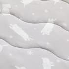 敷きパッド(Nクール極冷 DN2603) 4枚目画像